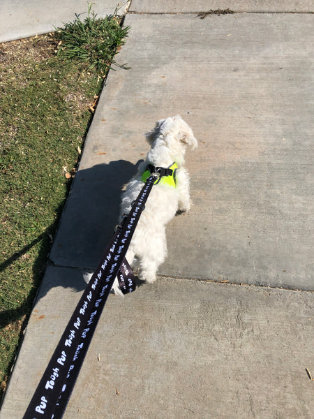 Tough Pup Leash