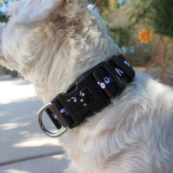 Tough Pup Dog Collar